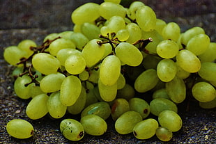 close up photo of green grapes
