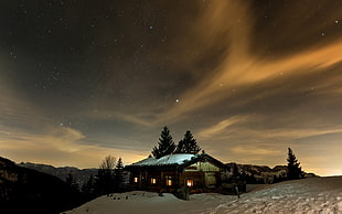 photograph of brown wooden cabin in the woods during nighttime