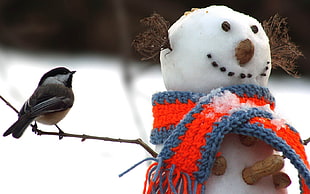 Snowman wearing orange and blue knit scard