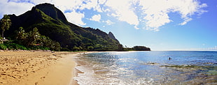 brown sand, landscape, nature, Hawaii, island