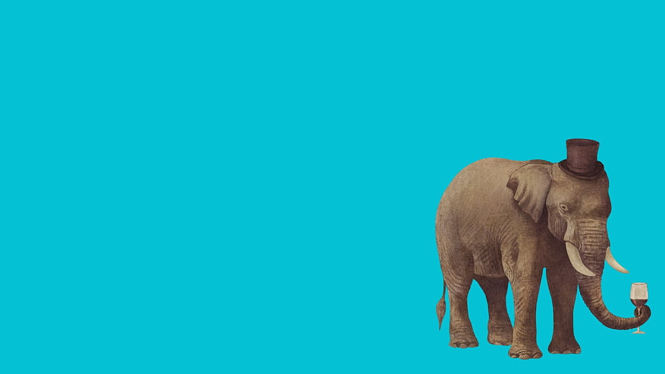 gray elephant illustration, elephant, minimalism, animals HD wallpaper
