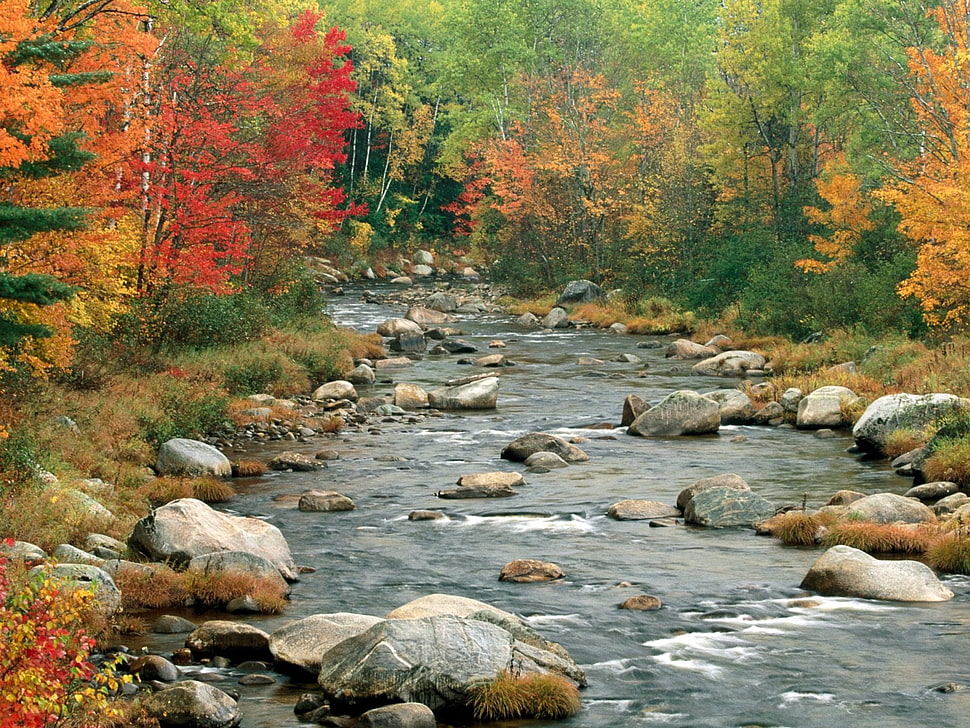 timelapse photo of river HD wallpaper
