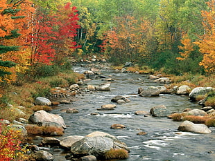 timelapse photo of river