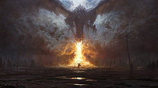 dragon fire breath wallpaper