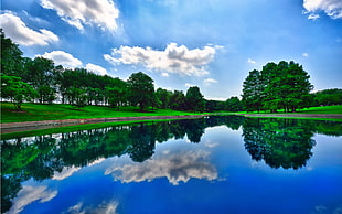 green trees, pond, reflection