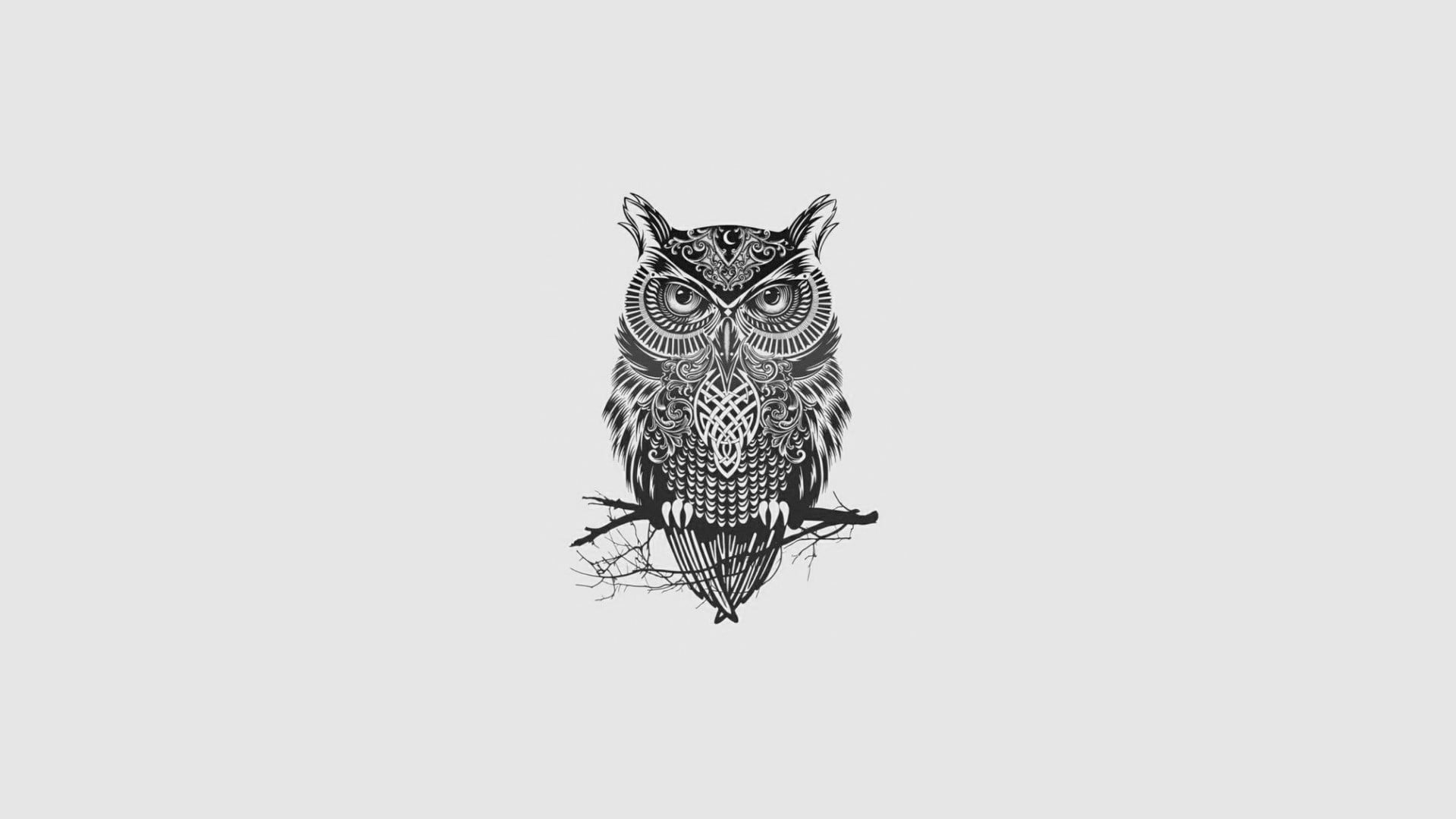 640x960 Owl Dark Glowing Eyes iPhone 4, iPhone 4S HD 4k Wallpapers, Images,  Backgrounds, Photos and Pictures