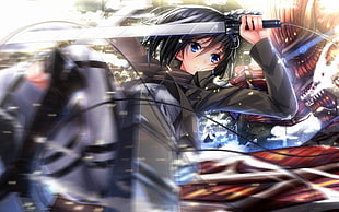anime character illustration, Shingeki no Kyojin, Mikasa Ackerman, Swordsouls HD wallpaper
