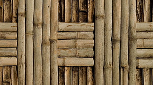 brown wooden sticks, bamboo HD wallpaper