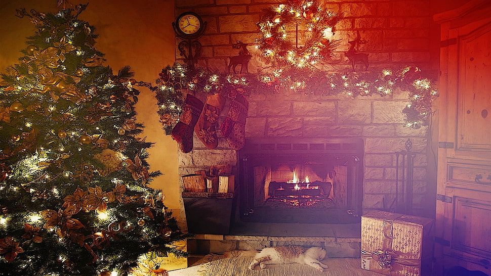 black fireplace, Christmas, fireplace, cat, lights HD wallpaper
