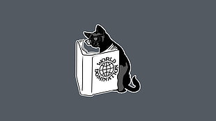 cat and book illustration, cat, books