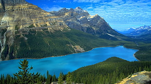 body of water, mountains, lake, forest, landscape HD wallpaper