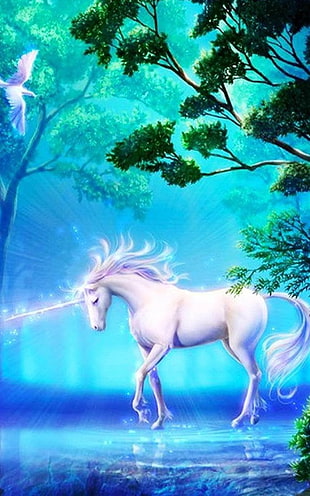 Unicorn in forest HD wallpaper