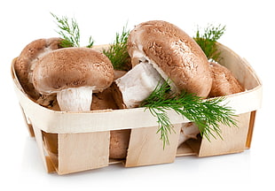 basket of mushrooms HD wallpaper