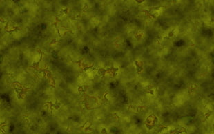 Green,  Rough,  Surface,  Dark