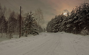 black power line, snow, landscape, winter, road