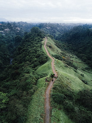 aerial shot of road on the mountains, nature, road, trees