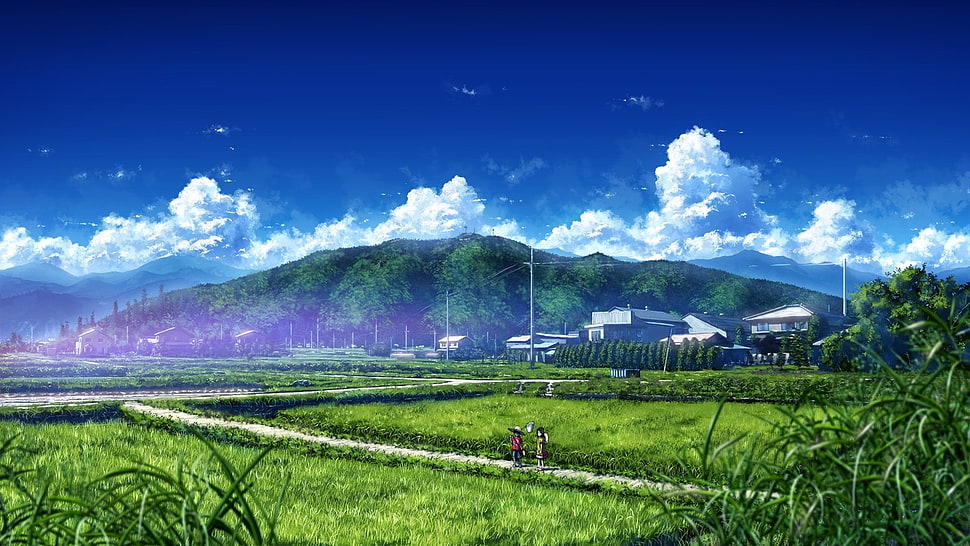 green grass field, fantasy art, anime, sky, clouds HD wallpaper