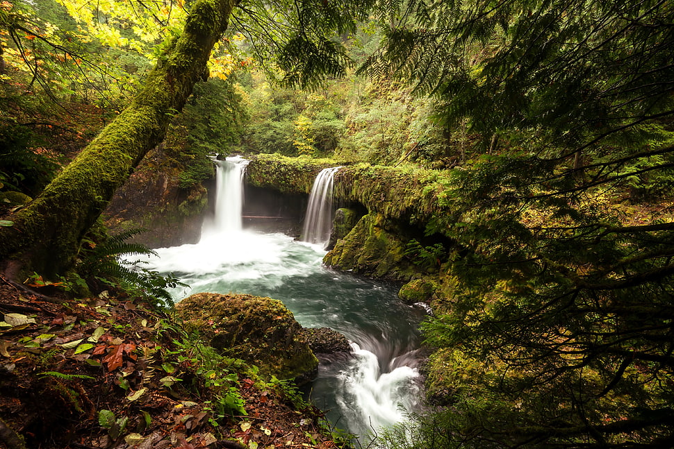 waterfalls, landscape, waterfall, forest, river HD wallpaper