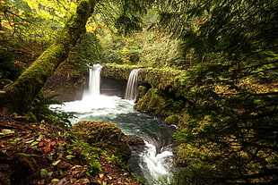 waterfalls, landscape, waterfall, forest, river
