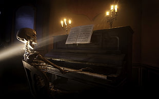 skull playing piano illustration HD wallpaper