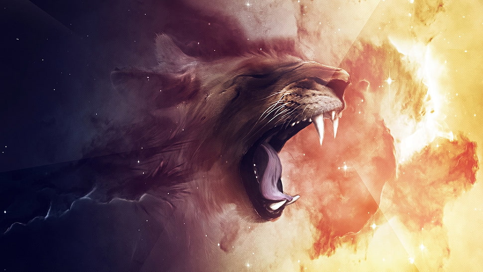 lion illustration, space, lion, stars, animals HD wallpaper