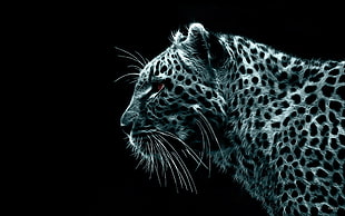 Leopard black and white photo