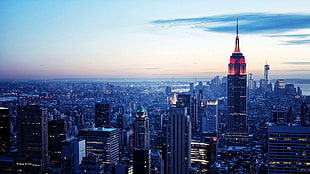 gray tower building, New York City, Manhattan, building, Empire State Building