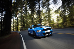 blue and white Chevrolet Shelby, car, Ford, Ford Mustang, Shelby GT500 HD wallpaper