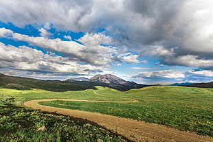 green field, Field, Mountains, Grass HD wallpaper