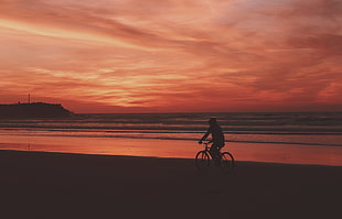 person riding bicycle, Bicyclist, Sea, Shore