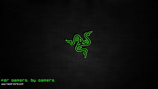 black and green Razer gaming mouse, Razer, green