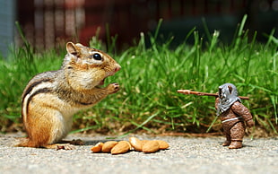 photography of squirrel beside male holding spear plastic toy