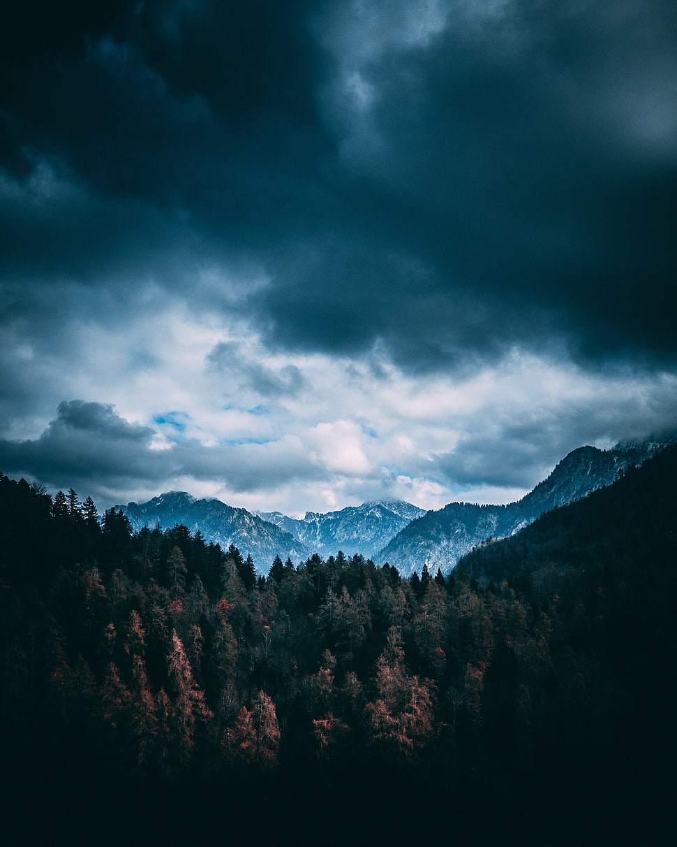 mountain alps, Mountains, Forest, Trees HD wallpaper