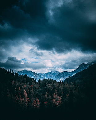 mountain alps, Mountains, Forest, Trees