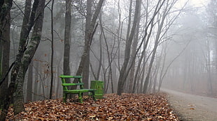 vacant green wooden bench near trees