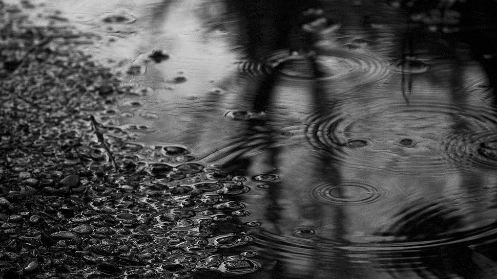 rain drops, rain, nature HD wallpaper
