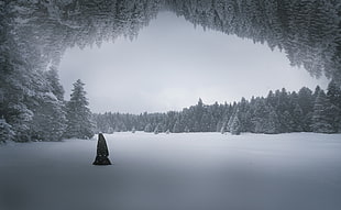 person walking on snow, Ozkan Durakoglu, nature, winter, digital art