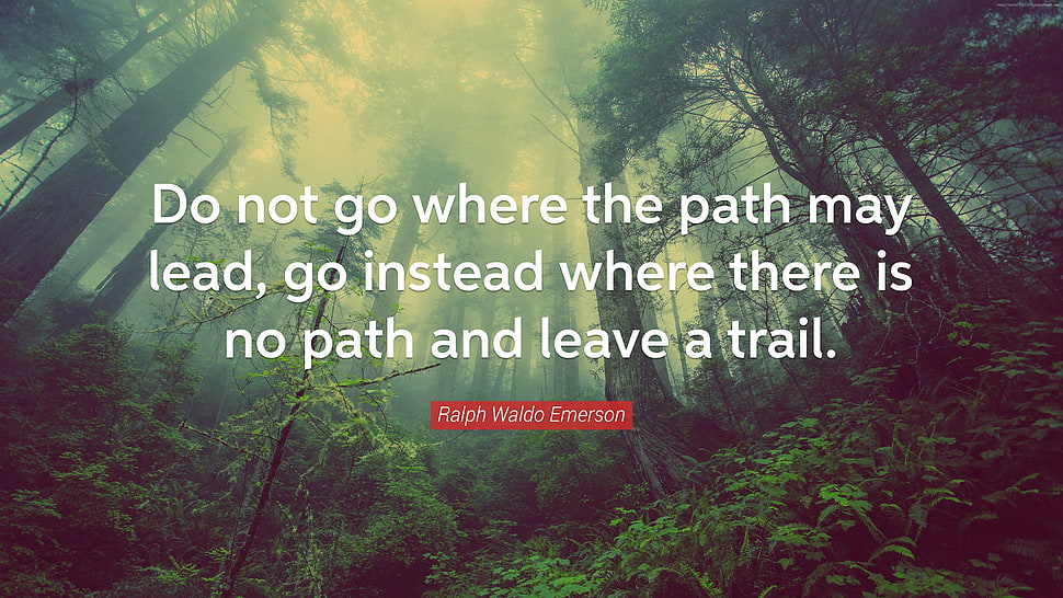 Ralph Waldo Emerson quote, quote, typography, minimalism, simple HD wallpaper