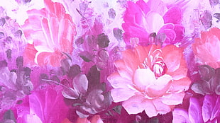 pink and purple flower painting HD wallpaper