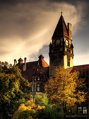 brown cathedral, wrocław, HDR, architecture, trees HD wallpaper