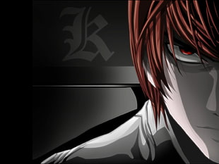 anime character digital wallpaper, anime, Death Note