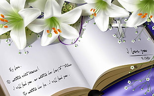 white petaled flowers on book