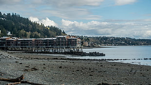 body of water, Washington state, Seattle, beach HD wallpaper