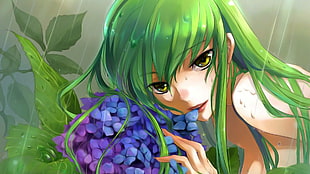 poison ivy animated illustration, anime, Code Geass, C.C.