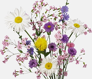 closeup photo of assorted flowers