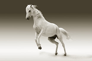 white horse miniature decor