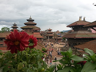 brown temple, Patan, Nepal, Kathmandu, temple