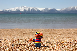 Bernie plastic toy on seashore, lake tahoe