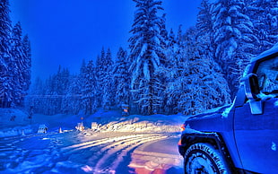 black SUV, forest, car, sky, snow