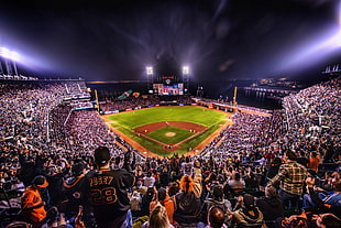 baseball stadium during nighttime HD wallpaper